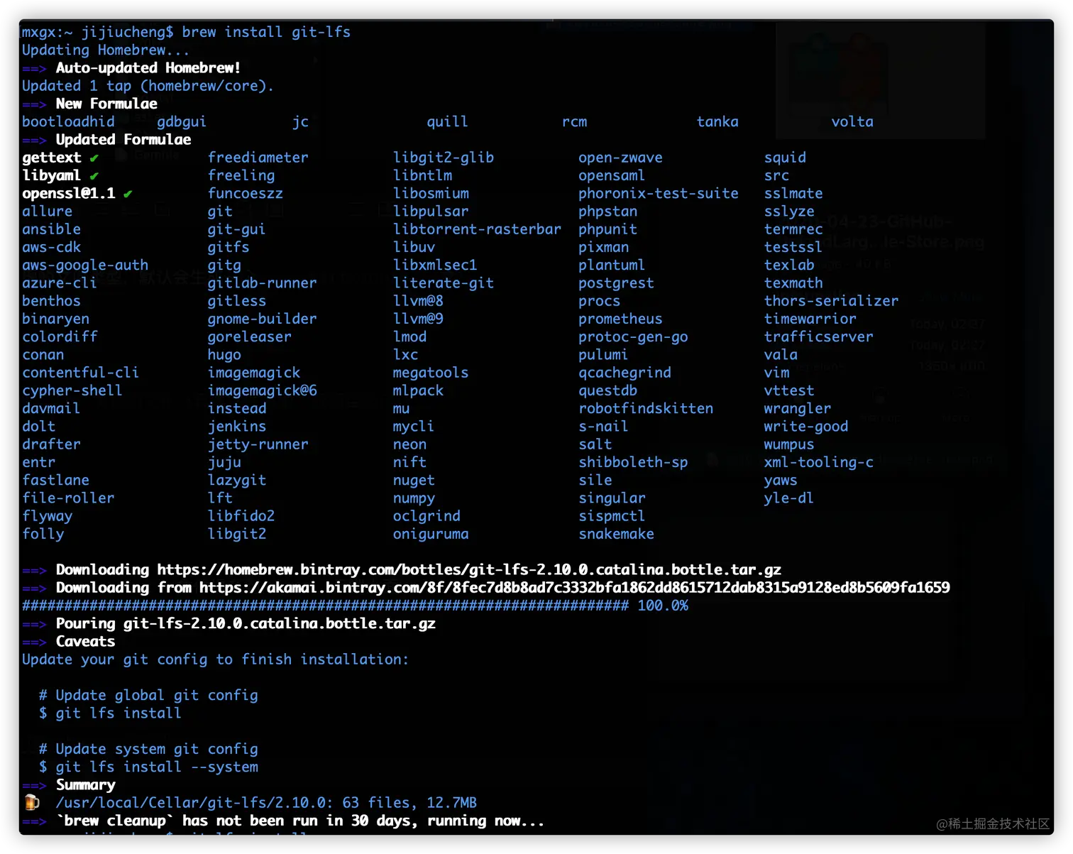 Brew Install Git LFS