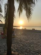 forever7758520的个人资料头像