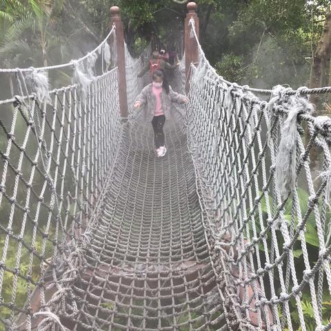 幸福的小米虫于2020-04-23 17:39发布的图片