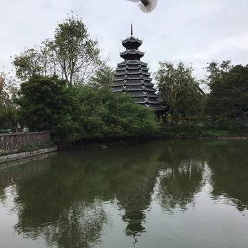 幸福的小米虫于2020-04-23 17:39发布的图片
