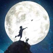 Y泰迪熊Y的个人资料头像