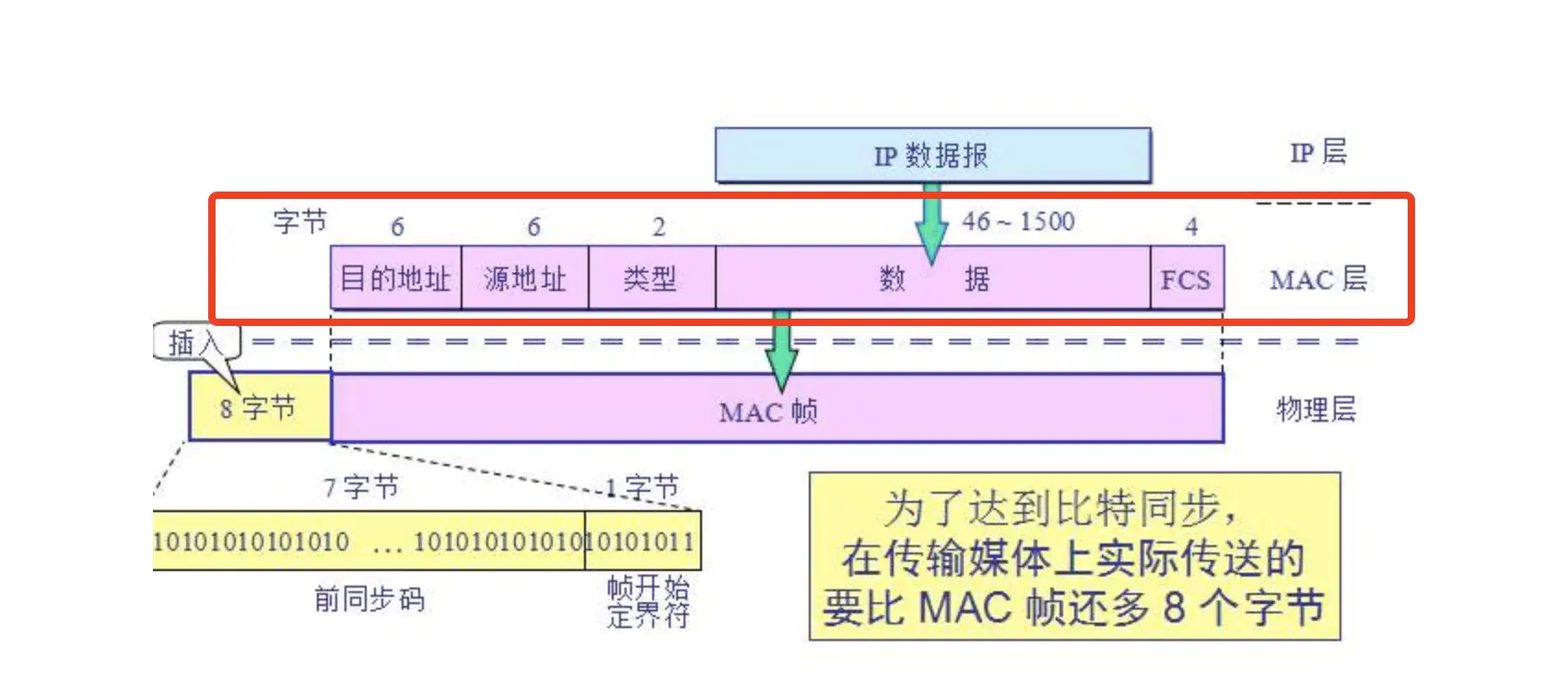 MAC帧格式
