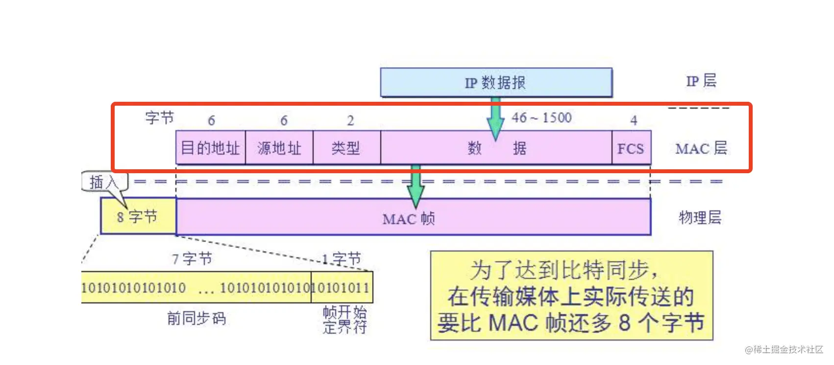 MAC帧格式