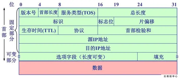 IP数据包头部信息