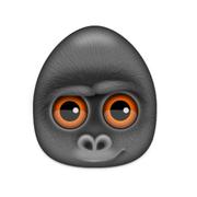 mtns的个人资料头像