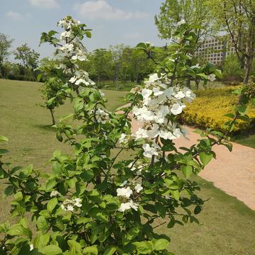 公子邪o于2020-04-24 13:03发布的图片