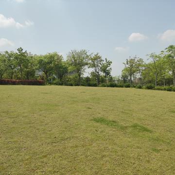公子邪o于2020-04-24 13:03发布的图片
