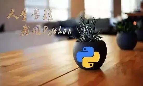 python到底是什么？你有真正了解吗？