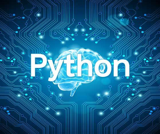 python到底是什么？你有真正了解吗？