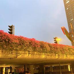 唔厌组于2020-04-24 14:32发布的图片