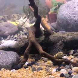 天天敲代码于2020-04-24 20:30发布的图片