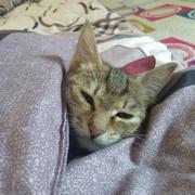 笨笨文的个人资料头像