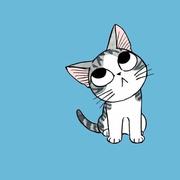J_晒太阳的猫的个人资料头像