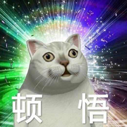 Mocker的个人资料头像