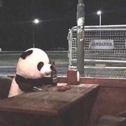 Kikiz的个人资料头像