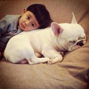 ai95的个人资料头像