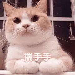 一一九于2020-04-26 14:51发布的图片