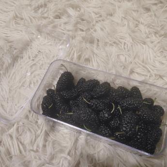 四眼妹于2020-04-26 20:58发布的图片