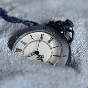 web_Plus的个人资料头像