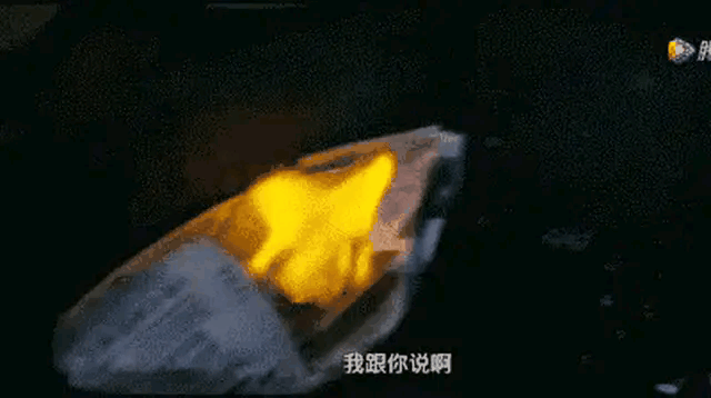 阔野天于2020-04-27 10:59发布的图片