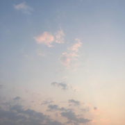 萌新小玉的个人资料头像