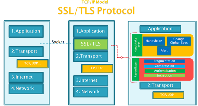 SSL/TLS处于网络层和应用层之间
