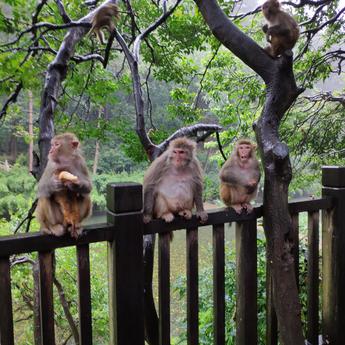 黔灵山的程序猿于2020-04-27 17:00发布的图片