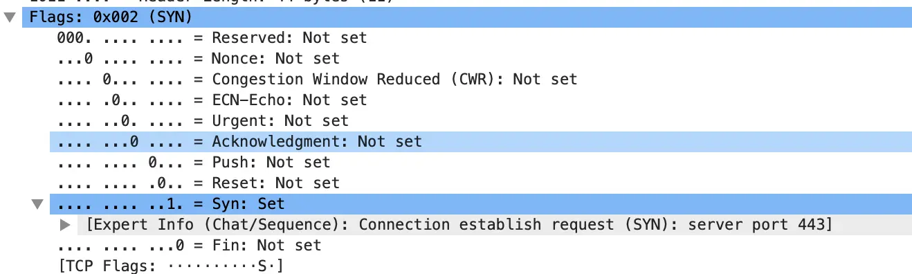 请求建立连接的数据包的状态位