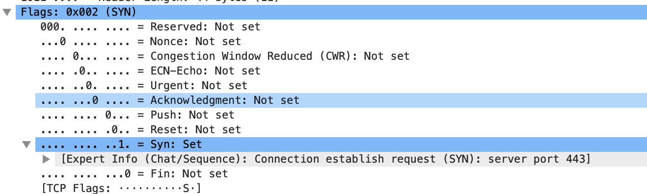 请求建立连接的数据包的状态位