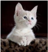 几米果儿的个人资料头像