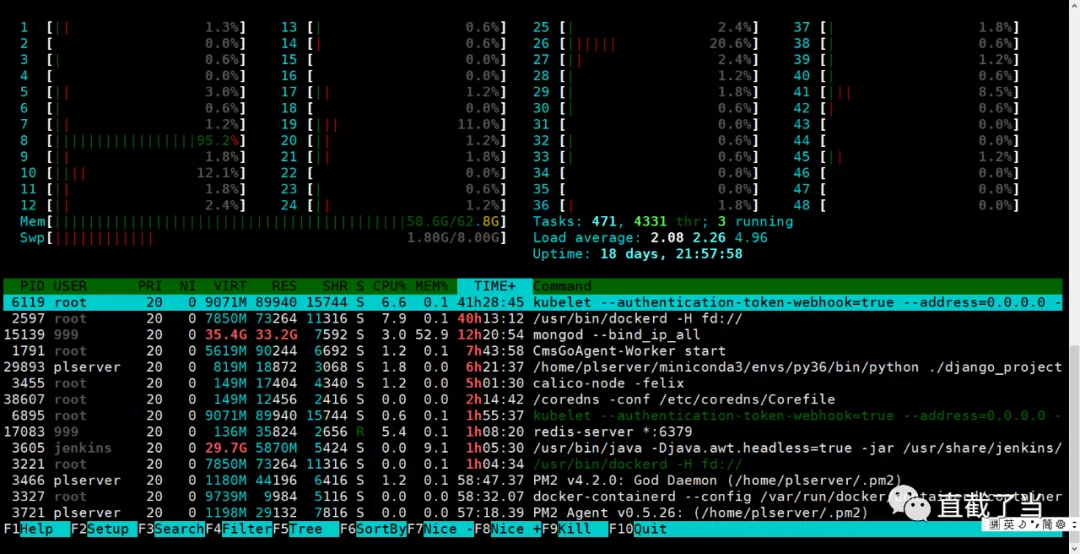 htop picture