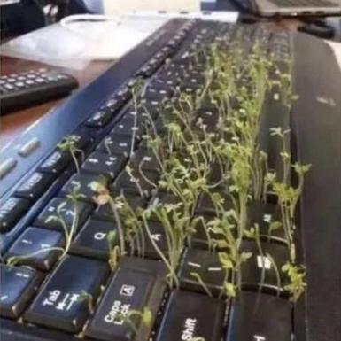 issuey于2020-04-29 10:04发布的图片