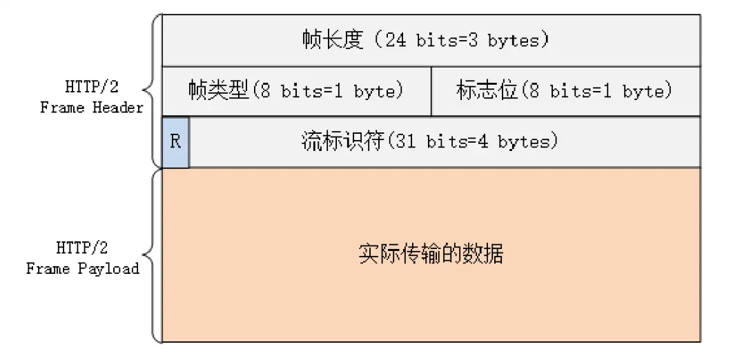 image-20200428142827628