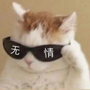 Antares同志94796的个人资料头像