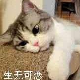 短笛大王喵帕斯于2020-04-03 09:07发布的图片