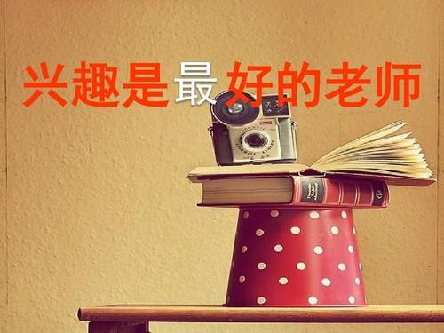 兴趣是你成长的最强动力 也是你挣钱最好的工具！