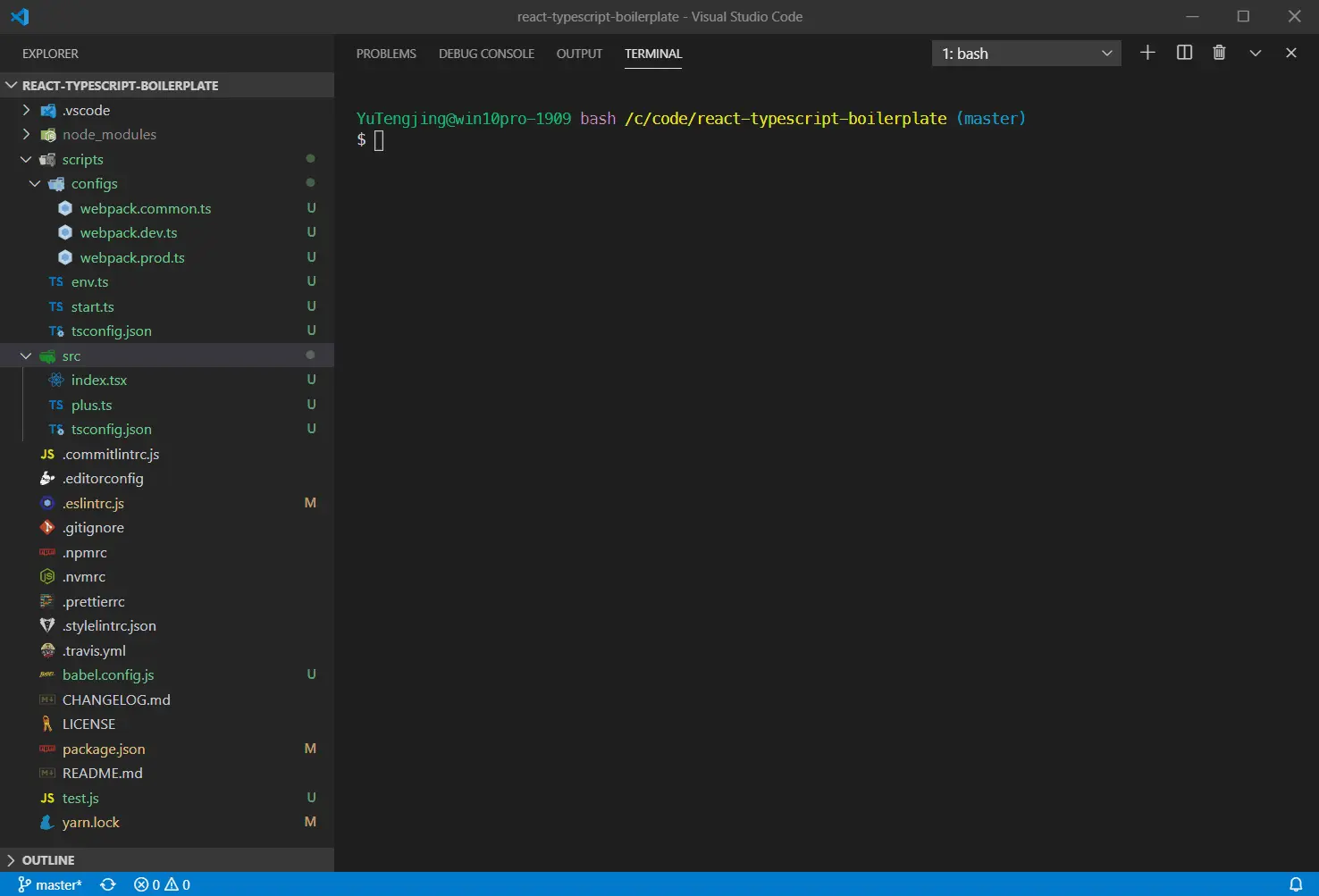 dev server