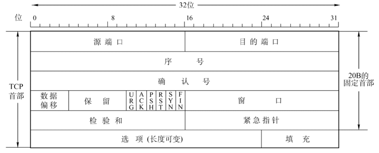 TCP头部