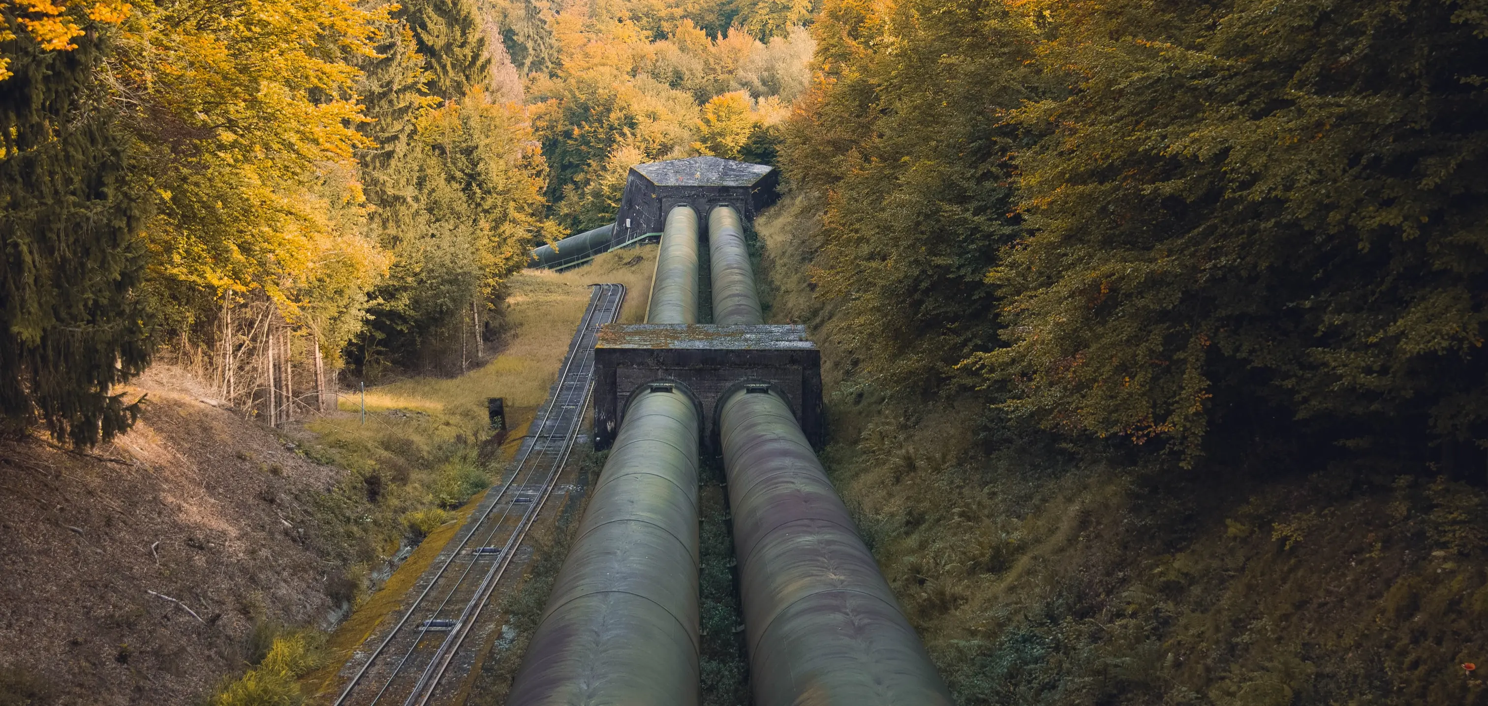 Photo by [Quinten de Graaf](https://unsplash.com/@quinten149?utm_source=unsplash&utm_medium=referral&utm_content=creditCopyText) on [Unsplash](https://unsplash.com/?utm_source=unsplash&utm_medium=referral&utm_content=creditCopyText)