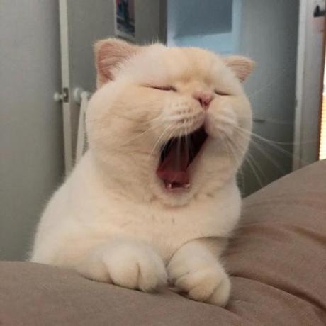 骑猪走天下于2020-04-30 17:20发布的图片