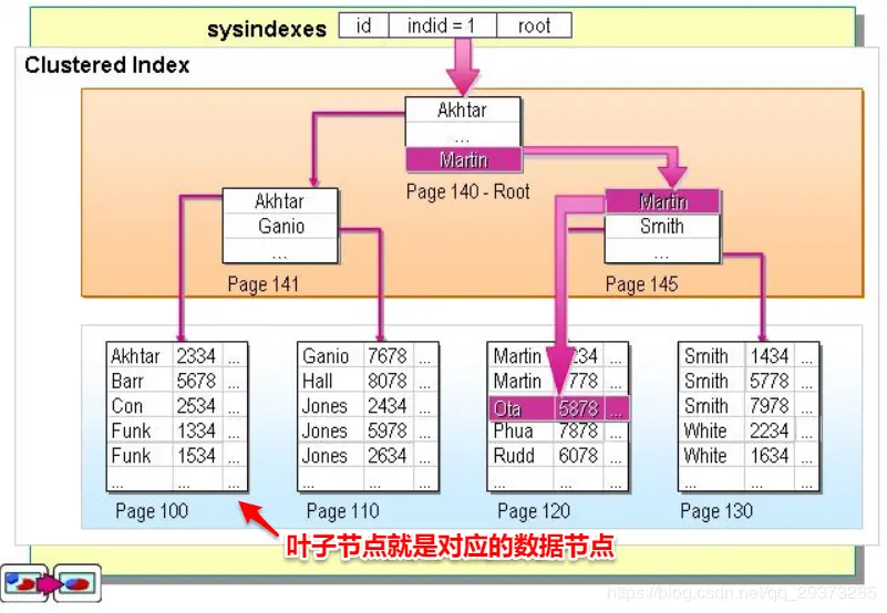 聚集索引实际存放的示意图