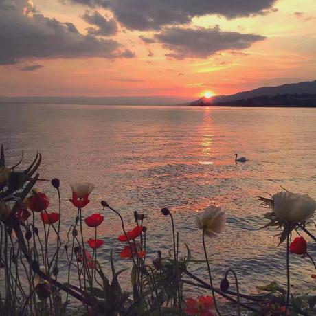 SunnyMing于2020-04-05 14:53发布的图片