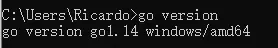 go版本