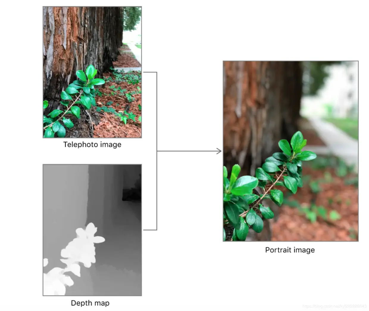 使用深度捕获照片