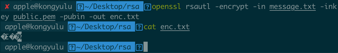 通过公钥进行加密