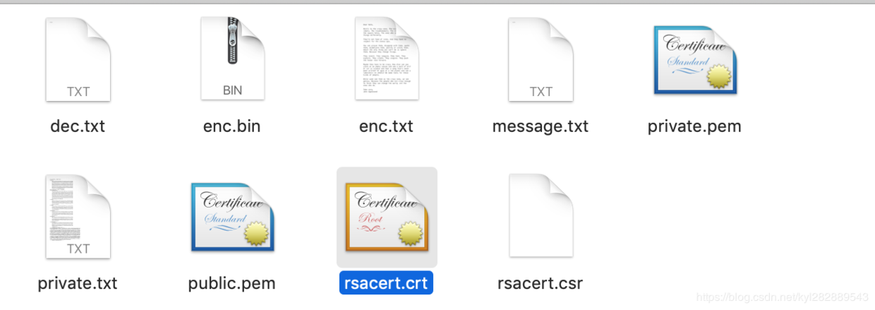 得到颁发的证书文件