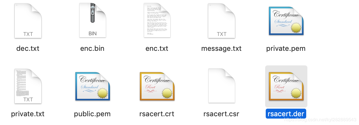 提取到文件rsacert.der