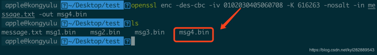 得到加密文件msg4.bin