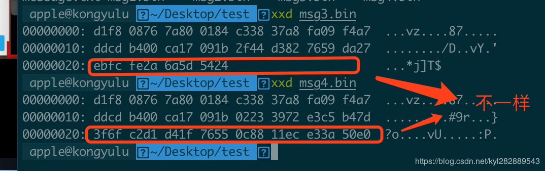 对比msg3.bin和msg4.bin文件