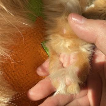 程序员和他的猫于2020-04-05 23:21发布的图片